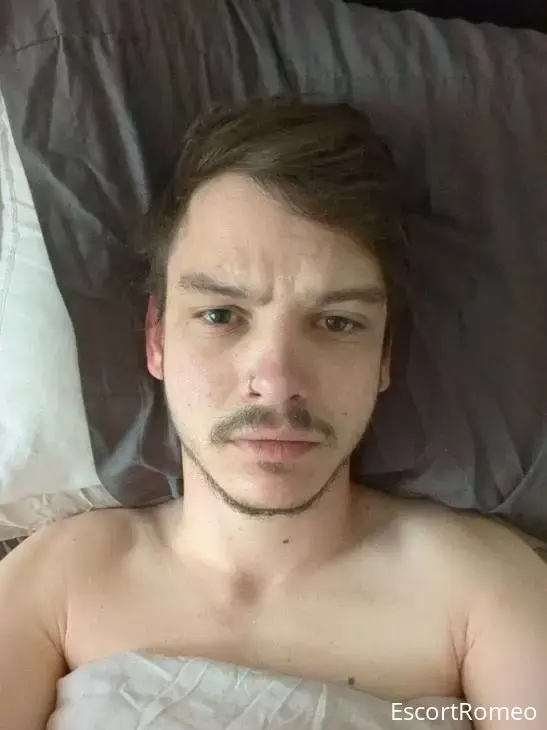 Bebe